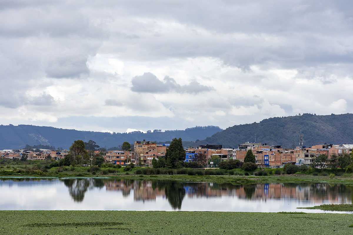 Los humedales son conocidos porque mitigan las inundaciones y los efectos del cambio climático, y además absorben el carbono desde la atmosfera. Fotos: Brandon Pinto.