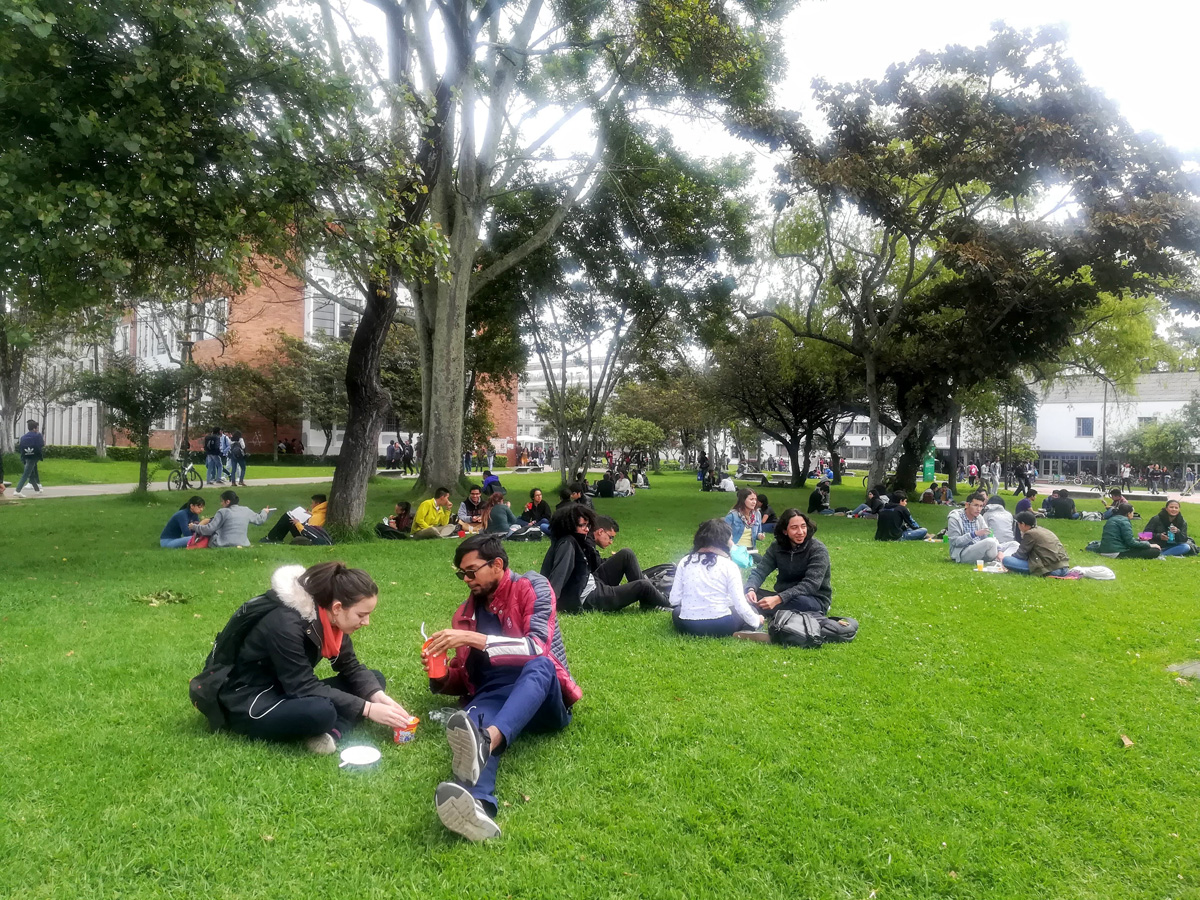 Espacio verde asociado con el bienestar físico y mental de los usuarios del campus. Foto: Nelly Rodríguez Eraso.