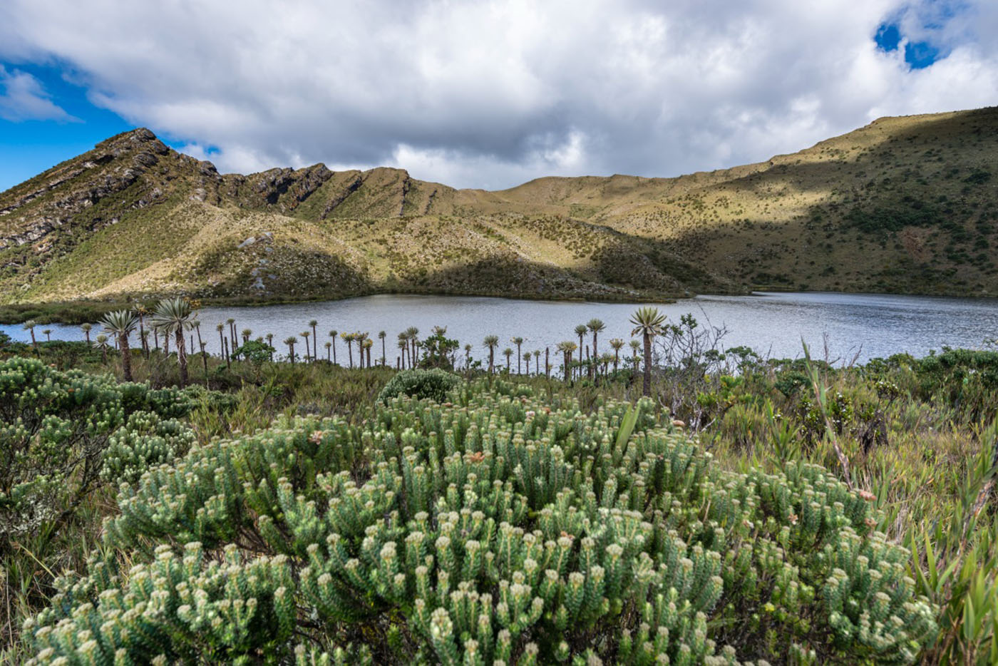 El páramo de Sabana Rubia está ubicado entre los municipios de Manaure, Codazzi, La Paz, La Jagua de Ibirico y Becerril. Foto: archivo Unimedios.
