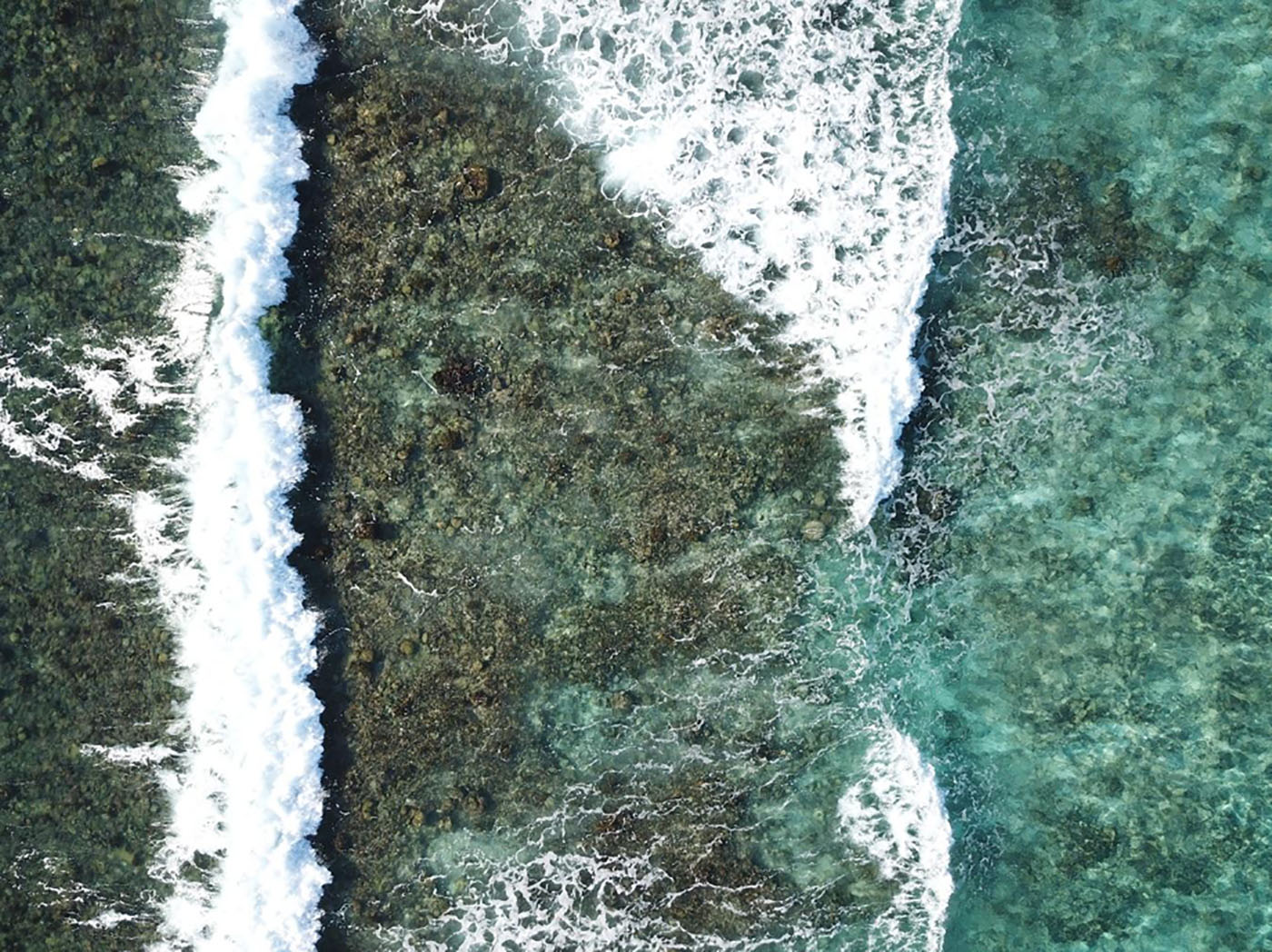 Toma aérea de la zona de rompiente del oleaje sobre la barrera arrecifal de Sound Bay, en San Andrés. Foto: Julián Prato Valderrama, candidato a doctor en Biología Marina de la UNAL.