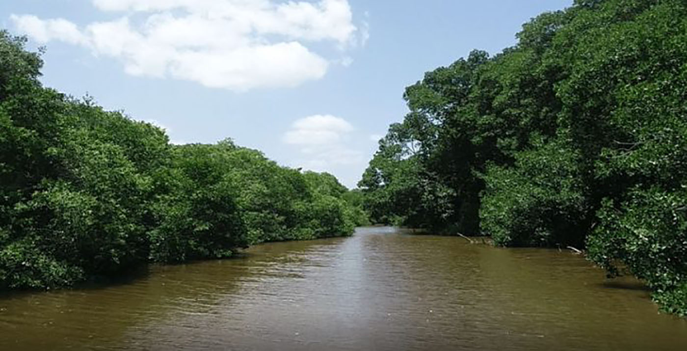 El río Ranchería podría perder su caudal a causa de las intervenciones mineras. Foto: Corpoguajira.