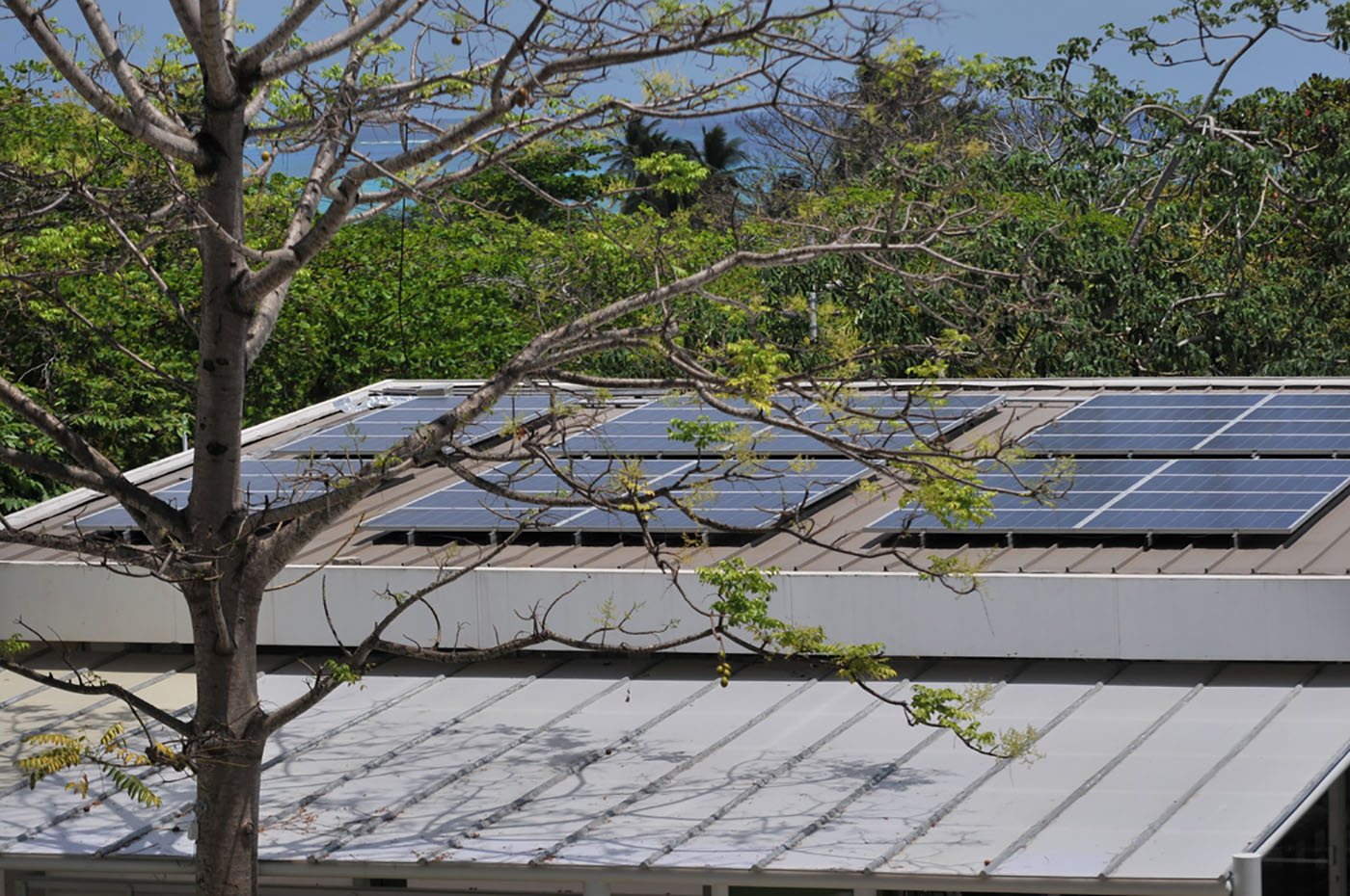 Si en San Andrés se implementara un sistema de energía solar fotovoltaica se tendría un importante ahorro al año para la Isla. Foto: archivo Unimedios.
