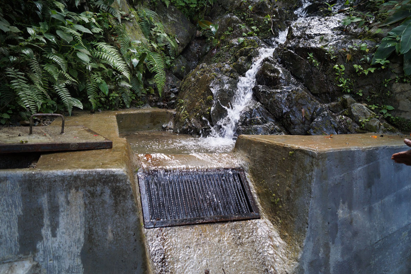 El proyecto fue llevado a cabo en la cuenca hidrográfica del río Tuluá (Valle del Cauca). Fotos: Johanna Ximena Escobar, estudiante del Doctorado en Agroecología.