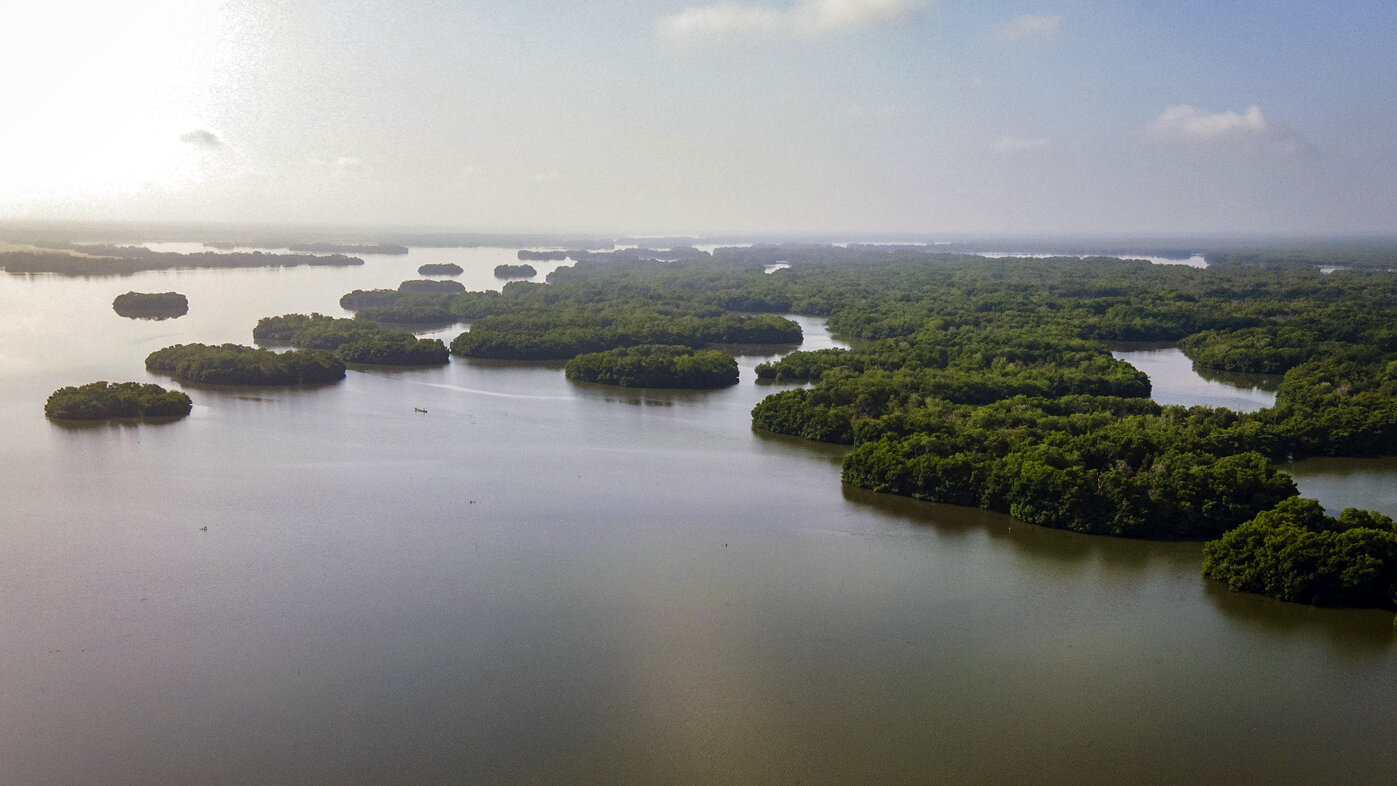 La Ciénaga Grande de Santa Marta alberga cerca de 519 especies animales y de ella dependen aproximadamente 3.000 pescadores. Foto: Ministerio de Ambiente.