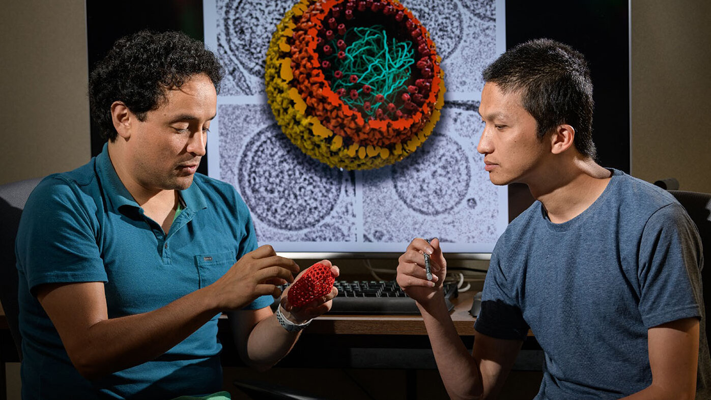 A partir de la Física se usan supercomputadores y se modelan las estructuras complejas del VIH a nivel atómico. Foto: Juan Perilla, físico de la UNAL.