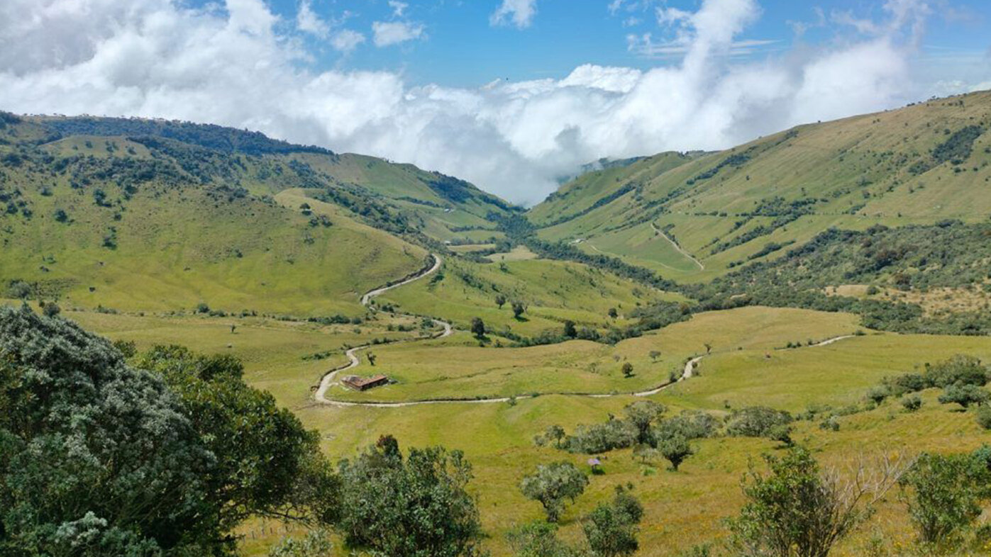 La Reserva Forestal Río Blanco es un pulmón verde para Manizales. Foto: archivo Unimedios.