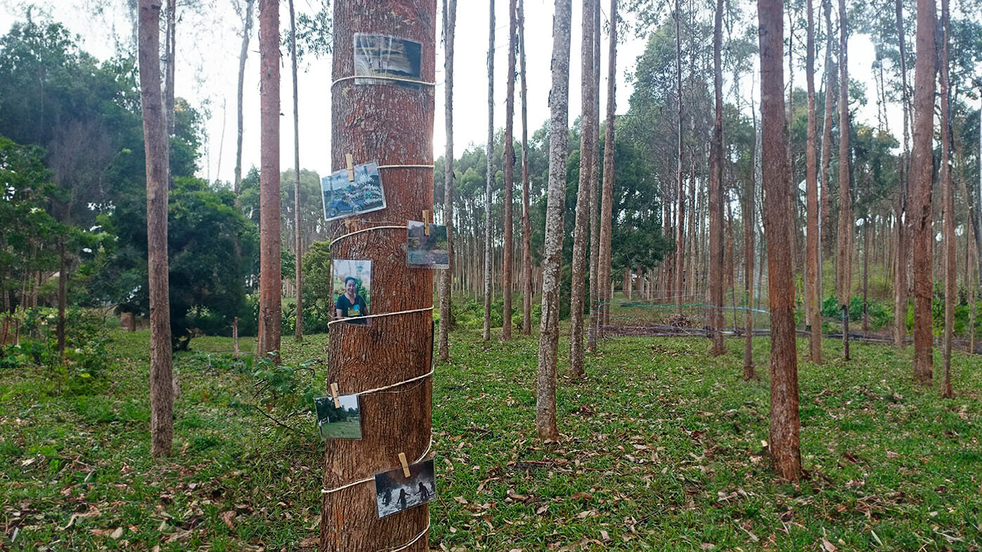 El desplazamiento ha sido una de las consecuencias de algunas medidas de conservación ambiental; este suele ser paulatino y silencioso. Fotos: Yuliana Garcés Arboleda, magíster en Hábitat, UNAL Sede Medellín.