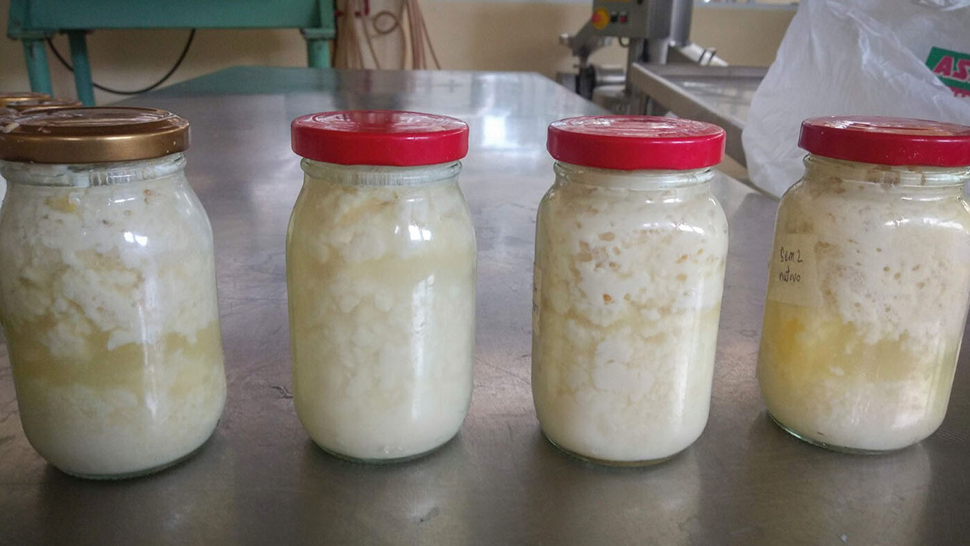 Yogur elaborado con soja y enriquecido con almidones de yuca modificados. Foto: Julian David Rodriguez Ruiz magíster en Ciencia y Tecnología de Alimentos UNAL. 