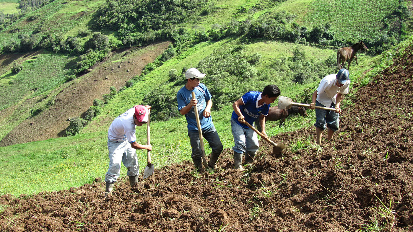 El campo colombiano necesita políticas públicas que apoyen su productividad y mejoren las condiciones de vida de quienes trabajan en él. Foto: archivo Unimedios. 