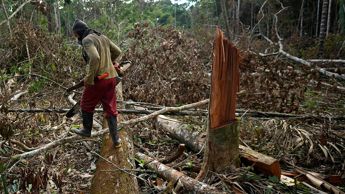 Experto de la UNAL acompaña la propuesta de que el ecocidio se incluya como quinta categoría de crimen de competencia de la Corte Penal Internacional. Foto: Raúl Arboleda/AFP