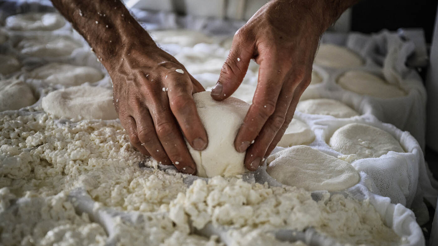 Los quesos sin pasteurizar pueden infectar a los seres humanos con la enfermedad de brucelosis. Foto: Jeff Pachoud-AFP.