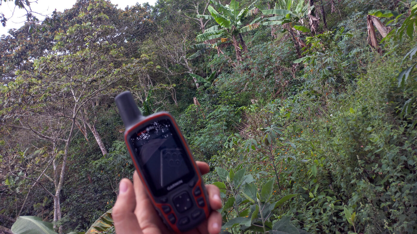 La investigación estudia la pérdida de suelo en unidades de toneladas hectárea por año en fincas de Roldanillo, Valle del Cauca. Fotos: Santiago Puerta, estudiante de última matrícula de Ingeniería Agrícola.