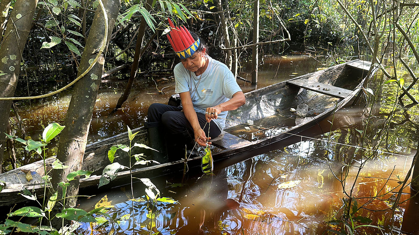 La pescadora Elena López, de la comunidad del Castañal, muestra cómo se usa el espiñel para pescar en la quebrada Yahuarcaca. Foto: Lulú Victoria, estudiante posdoctoral de la Universidad de Florida en alianza con la UNAL.