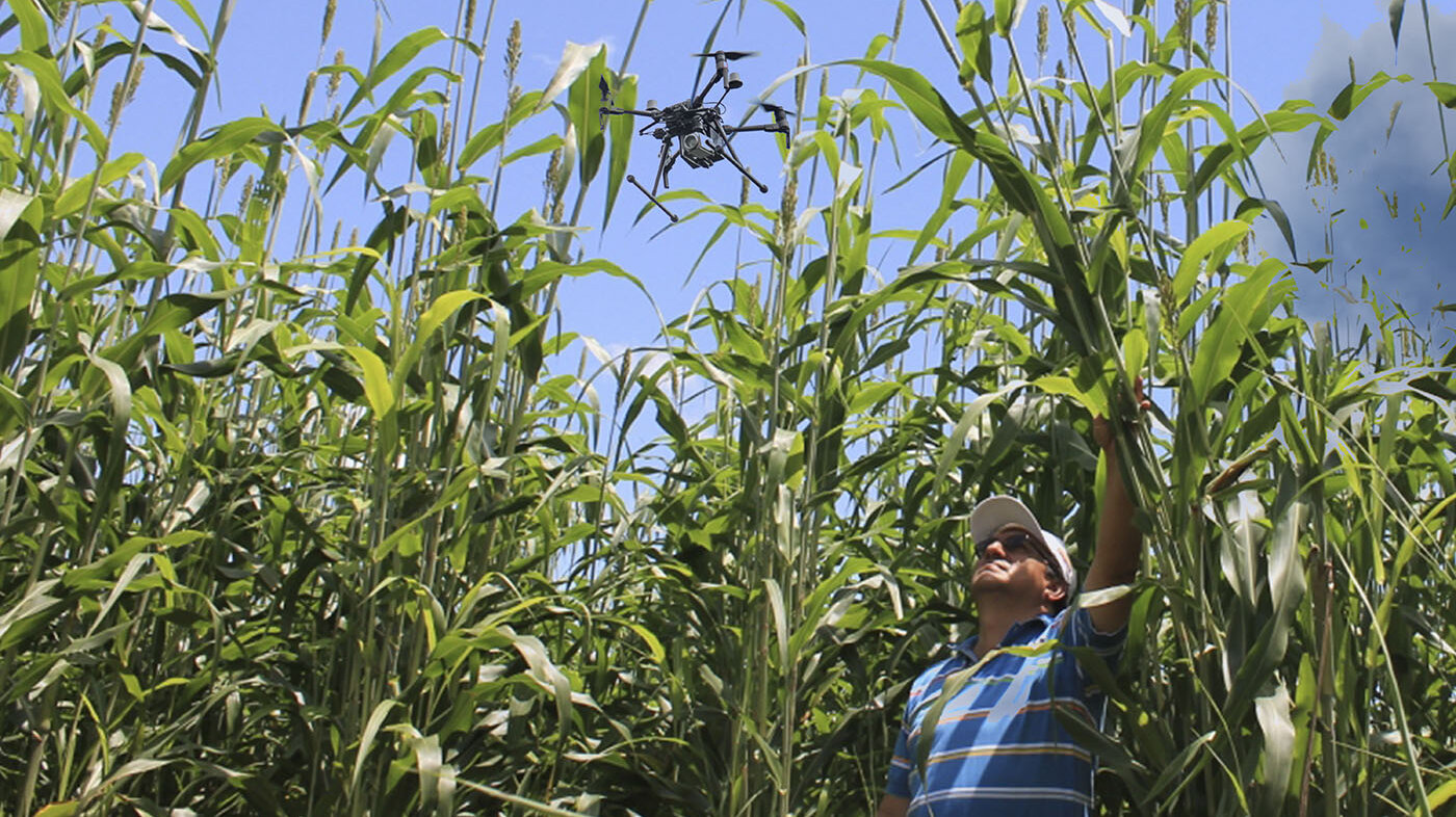 Por medio de drones con cámaras multiespectrales se identificó por primera vez la calidad nutricional del forraje en el Meta. Foto: minagricultura.