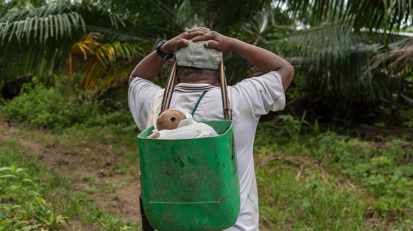 Las propuestas apuntan a un sistema de producción y abastecimiento sostenible que ofrezca alimentos saludables para todos. Fotos: Jeimi Villamizar, Unimedios.