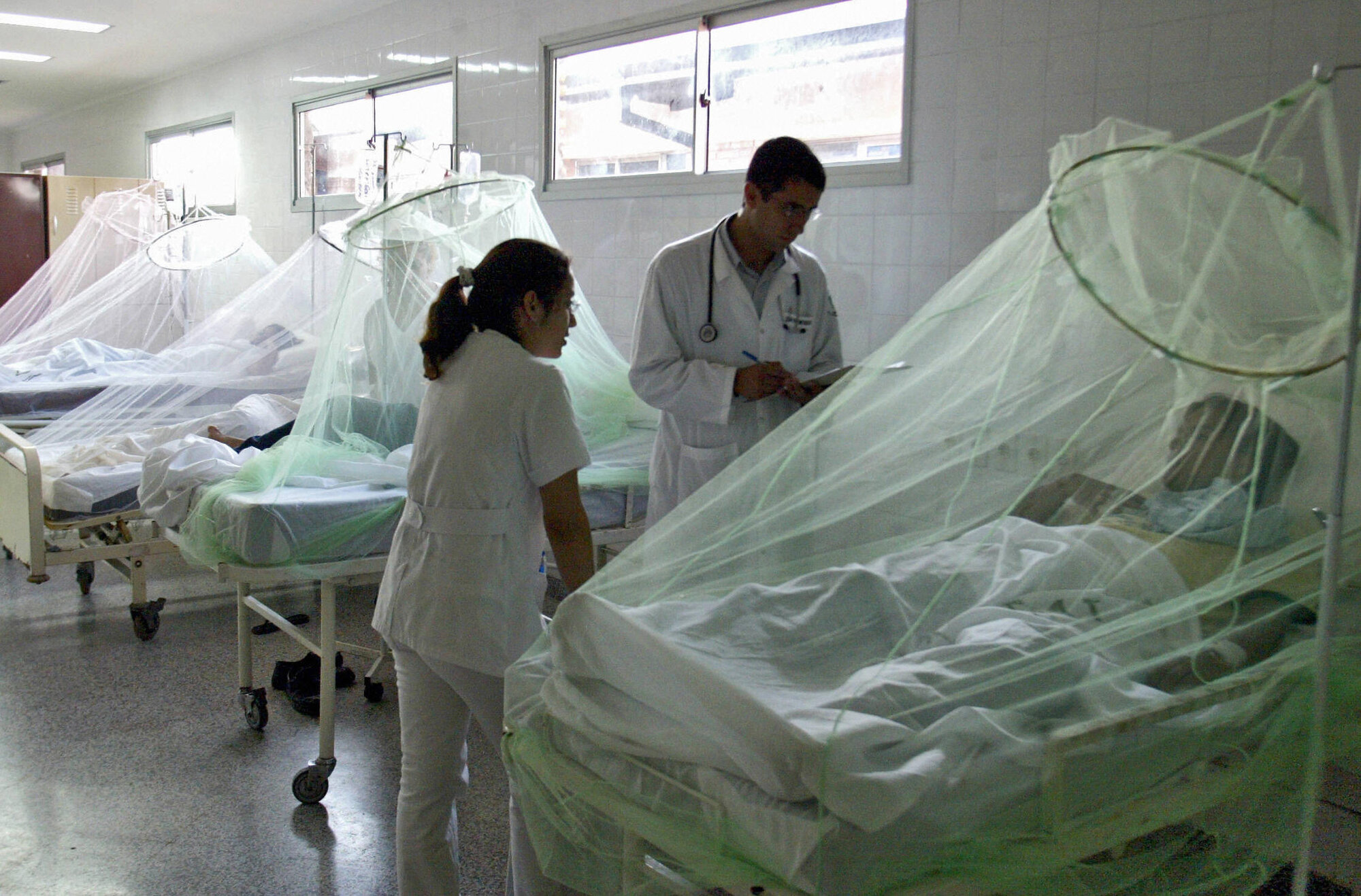 Entre enero y junio del 2014 se han notificado 57.000 casos de dengue en Colombia