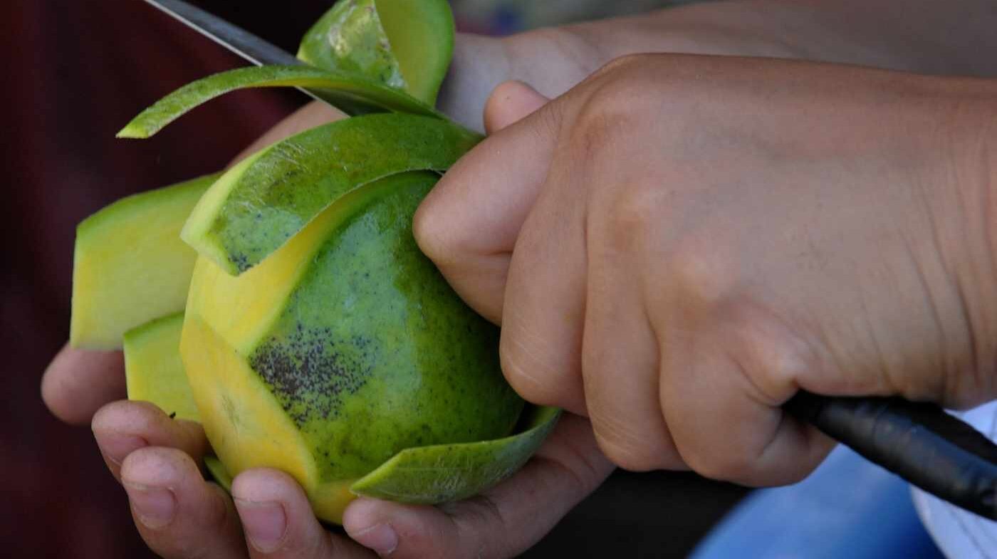 Investigadores de la Facultad de Ciencias de la UNAL inocularon una bacteria en frutas y verduras que mejoraría la salud intestinal. Foto: Jay Directo/AFP.