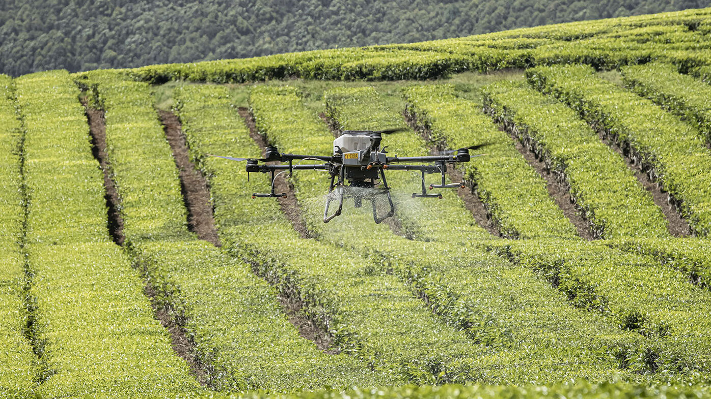 Algoritmos de aprendizaje profundo permitirían que los drones identifiquen mejor la maleza en los cultivos. Foto: Patrick Meinhardt – AFP.