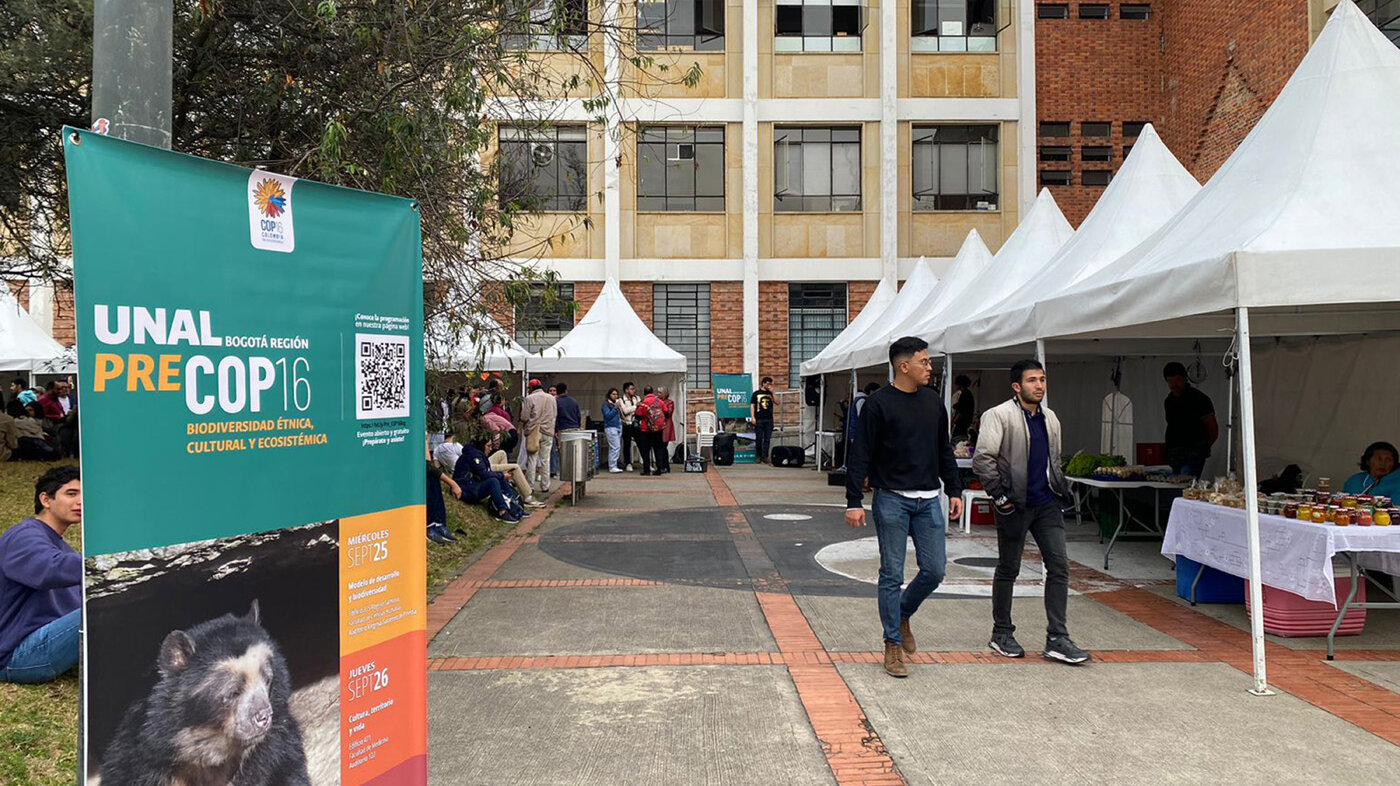 A pesar de los esfuerzos internacionales, la biodiversidad global sigue enfrentando amenazas crecientes debido a modelos económicos insostenibles. Foto: Stephanie Garzón, Unimedios.