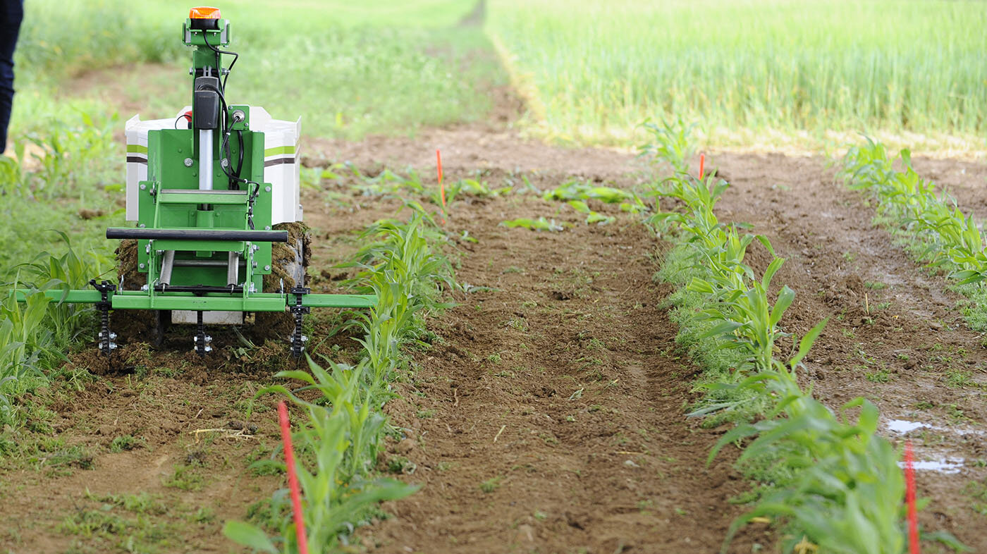 Agricultura digital, de precisión e inteligente, la nueva forma de producir alimentos en el mundo. Foto: Jean-Christophe Verhaegen/AFP.