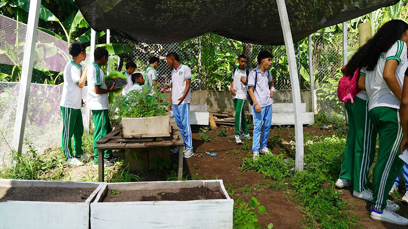 Estudiantes y profesores de la Institución Etnoeducativa Makumake sede Rioseco combinan saberes tradicionales con innovación tecnológica. Fotos: “Huerta escolar tecnológica desde la visión del pueblo indígena kankuamo UNAL”.