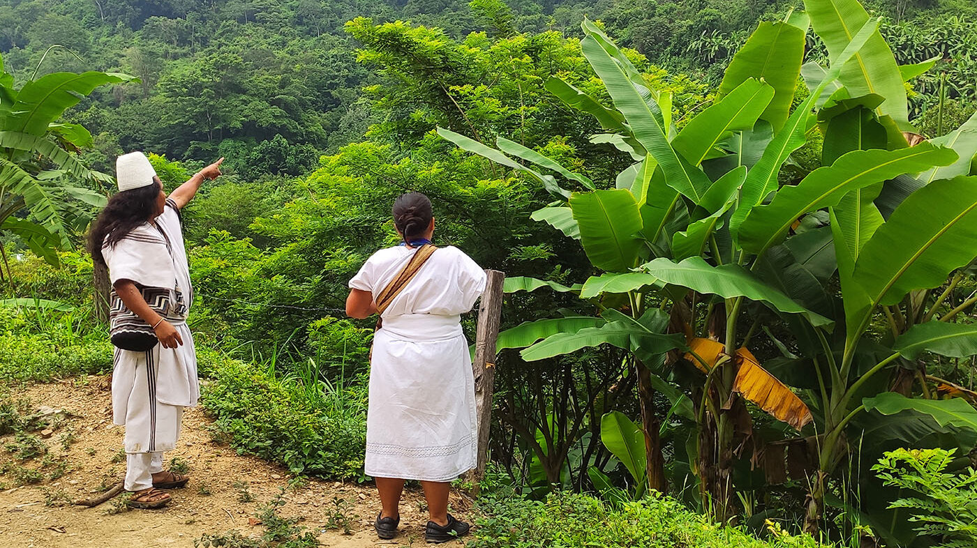 La comunidad indígena iku –conocida comúnmente como arhuacos– perciben la naturaleza como un elemento sagrado. Fotos: Andrés Restrepo, magíster en Hábitat de la UNAL.