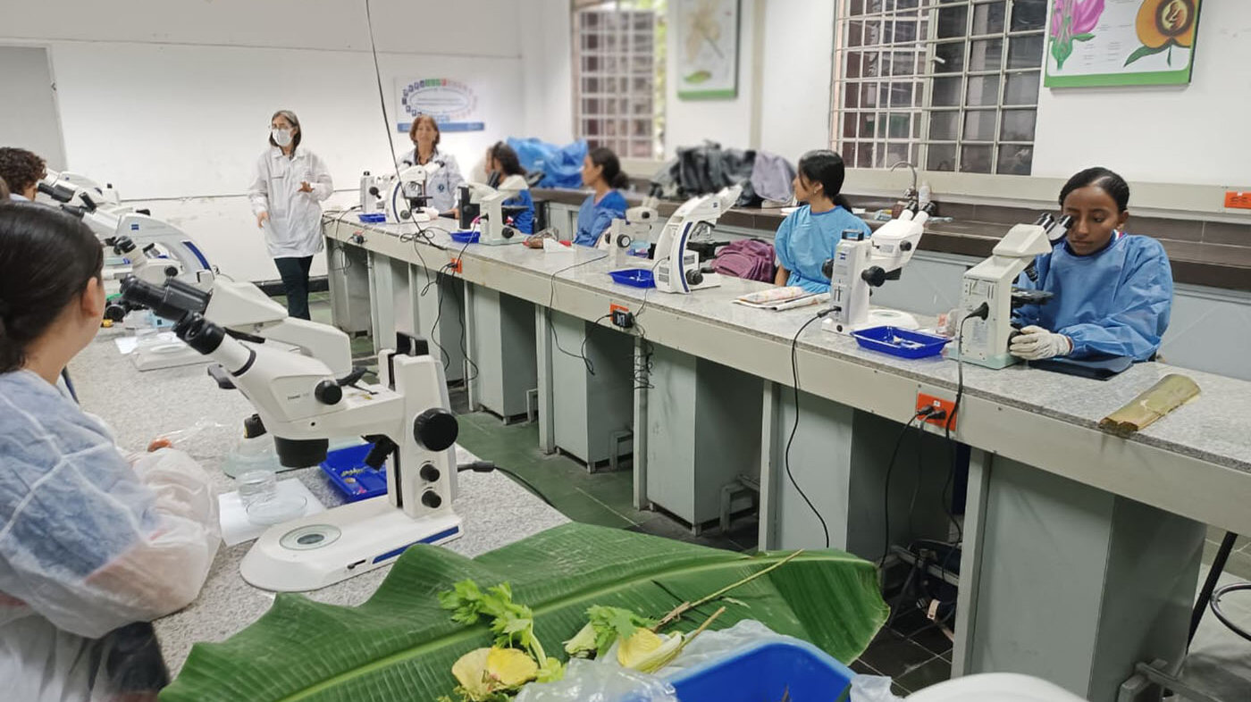 Estudiantes de la Institución Educativa Ateneo analizan fibras en el Laboratorio de Botánica. Foto: Gloria Ayala, magíster de la UNAL Sede Palmira.