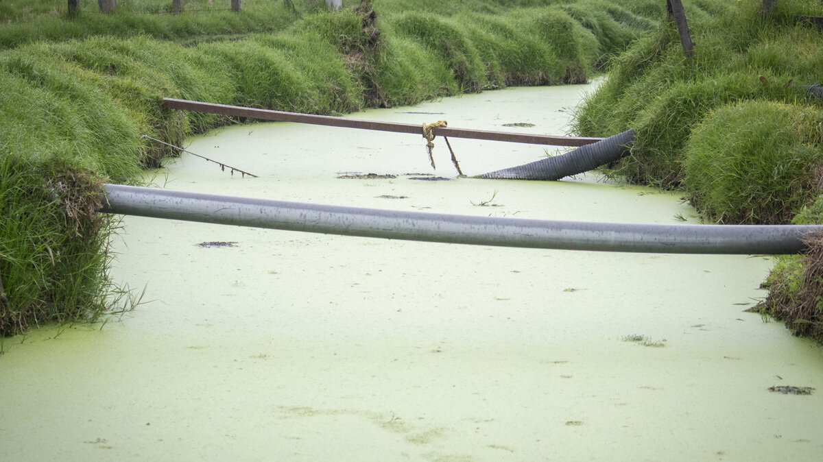 Las aguas residuales están contaminando los cuerpos de agua subterráneos y superficiales en diferentes municipios de Colombia. Foto: Nicol Torres, Unimedios.