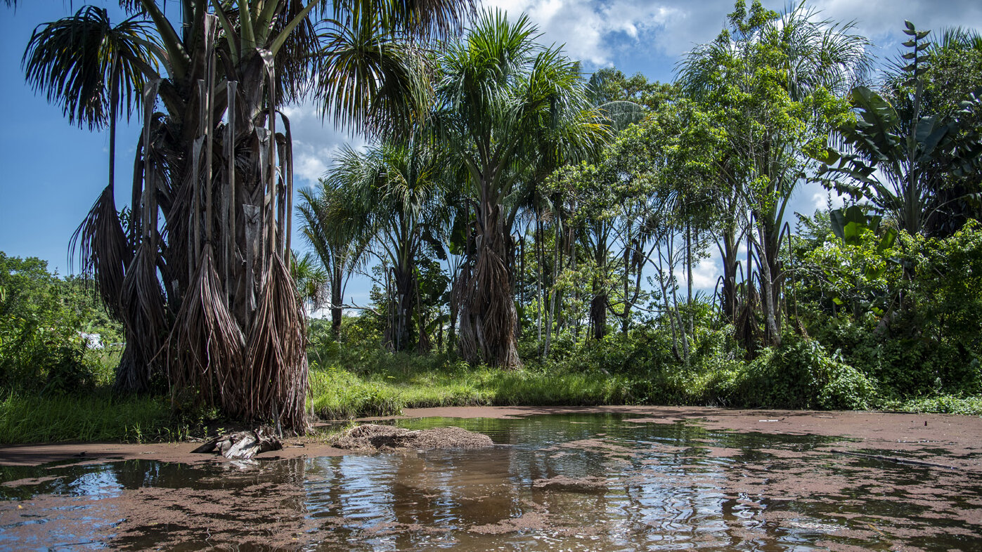 Cuerpos de agua en el Amazonas. Foto: archivo Unimedios.