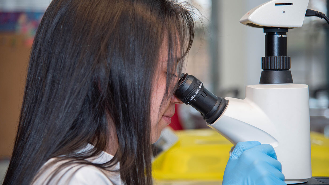 Los doctorados en Historia y en Ciencias - Biología de la UNAL son reconocidos por su trayectoria académica. Foto: Nicol Torres, Unimedios.