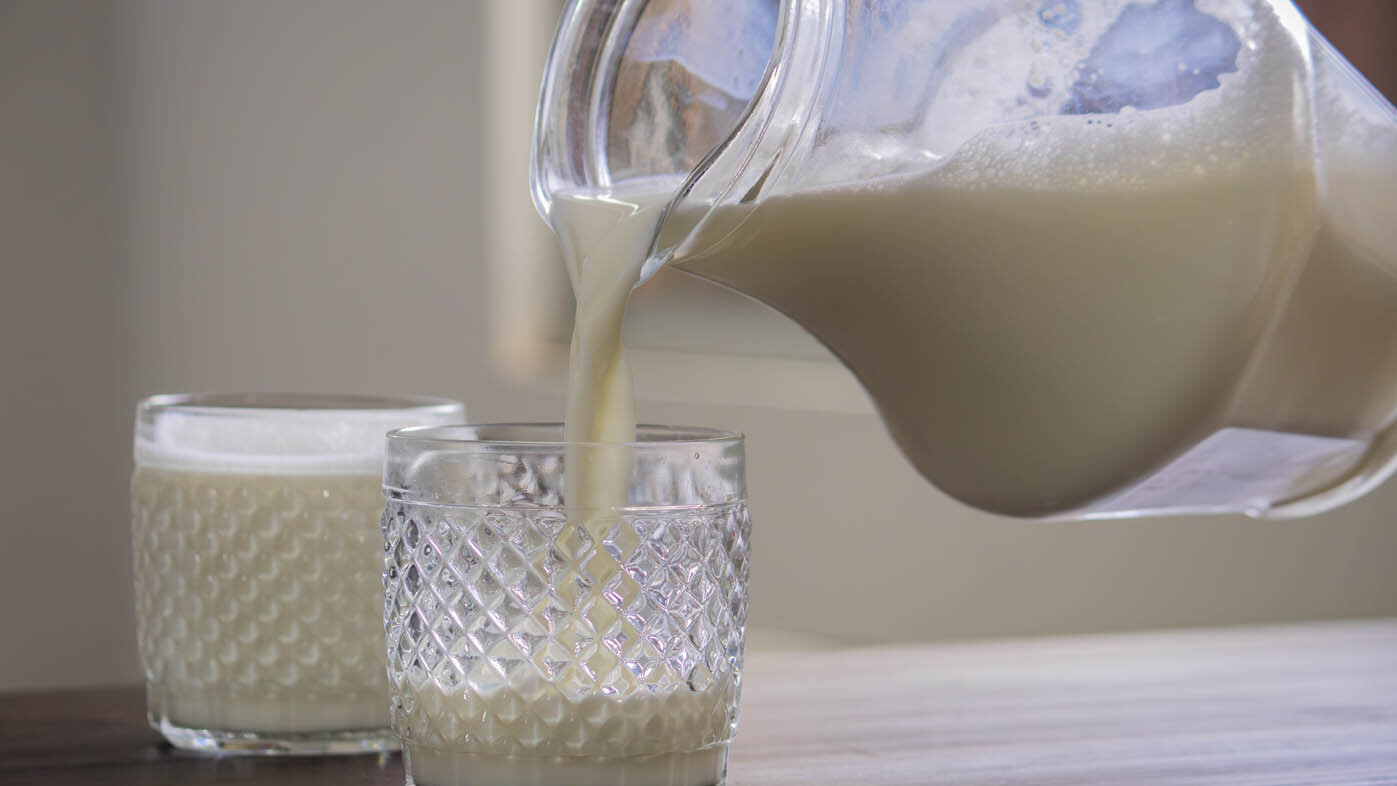 Antes de comercializarla, la leche pasa por rigurosos tratamientos para eliminar cualquier microorganismo peligroso. Foto: Nicol Torres, Unimedios.