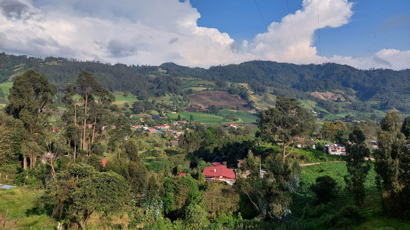 Los campesinos de algunas veredas de Zipacón y Bojacá están dejando de lado cultivos tradicionales por la falta de tierra y por no ser propietarios. Foto: Diego López Melo, magíster en Gestión y Desarrollo Rural de la UNAL.