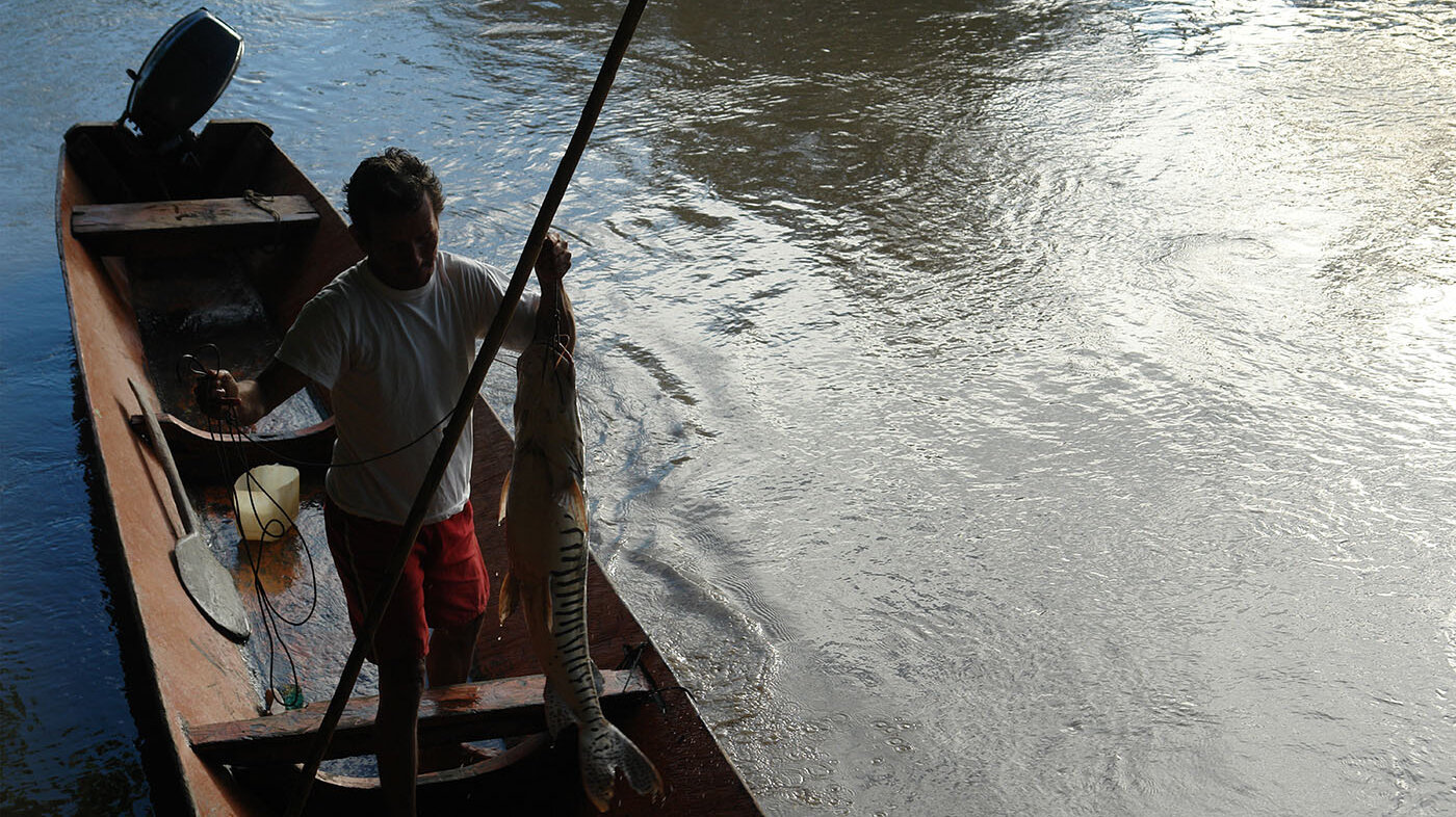 La implementación de neveras o biocongeladores mejora la conservación y distribución del pescado en Isla Fuerte (Bolívar). Foto: archivo Unimedios.