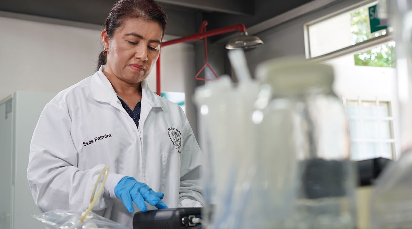 El Laboratorio de Investigaciones Ambientales de la UNAL Sede Palmira recibe validación internacional de proficiencia con 95 % de confianza en la prueba de potencial bioquímico de metano (PBM). Foto: Darío Rivera, Unimedios Palmira.