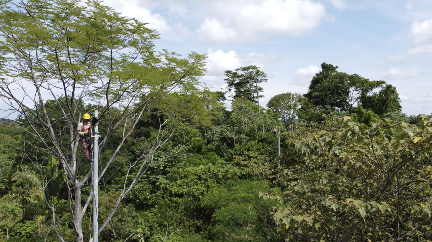 En países tropicales y de abundante vegetación los árboles suelen invadir el cableado de energía. Foto: Biodiversidad Fundation.