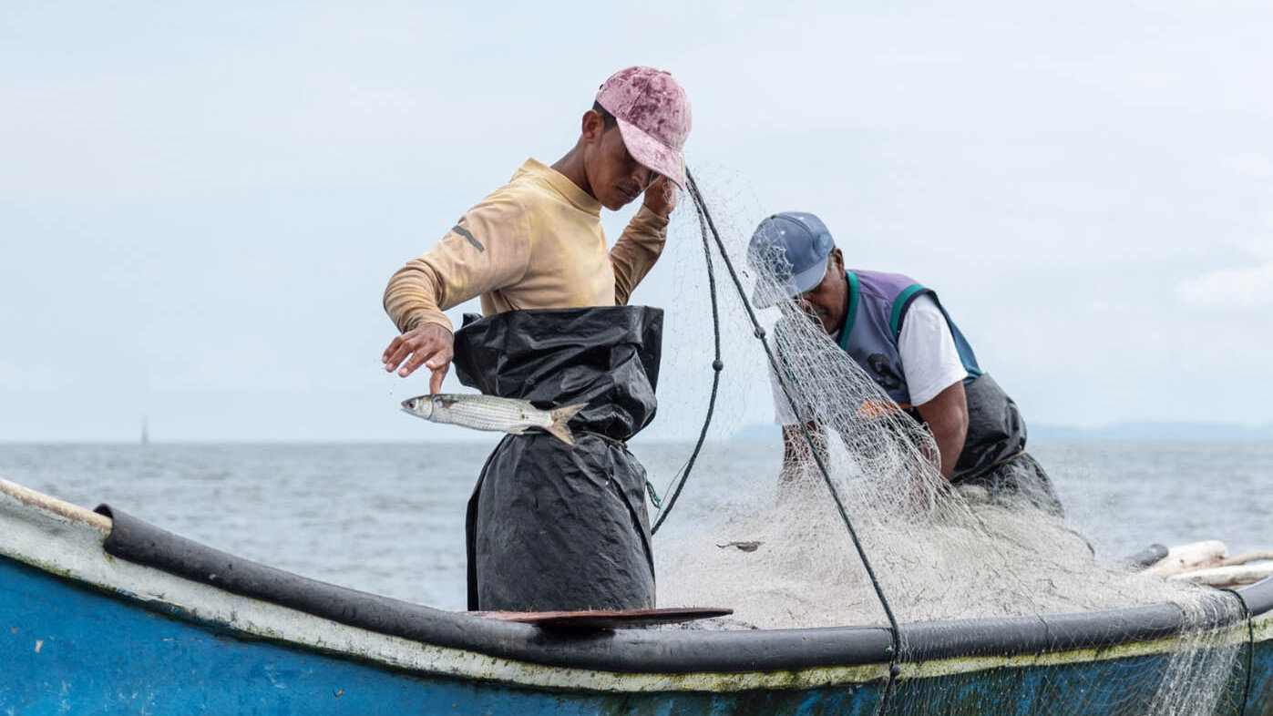 En 2022 la pesca artesanal en Tumaco produjo 1.917 toneladas de pescado, equivalentes al 9,66 % del total nacional. Foto: archivo Unimedios. 