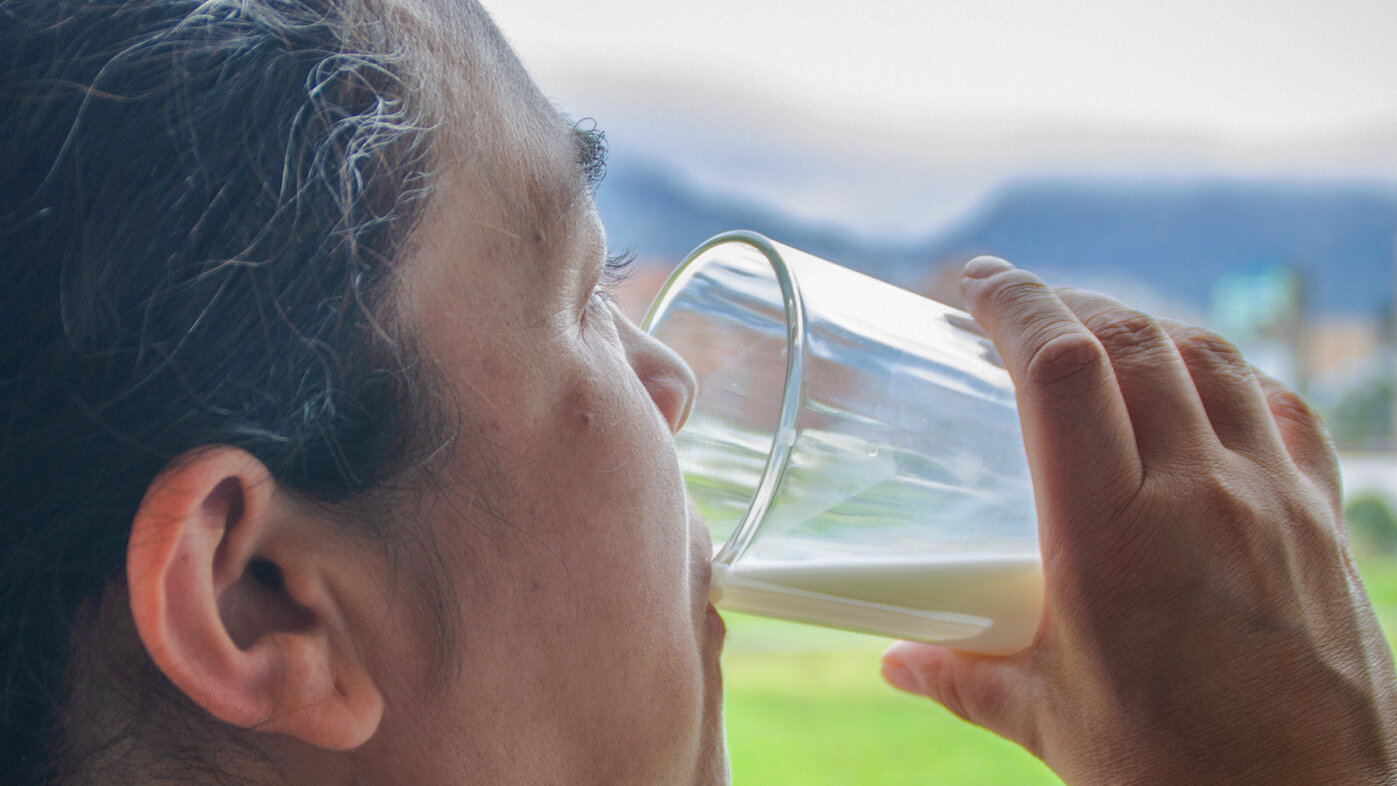 La leche A2 ofrece beneficios para la salud intestinal y la digestión, pero falta más información a la ciudadanía para su consumo. Foto: María Fernanda Londoño, Unimedios.