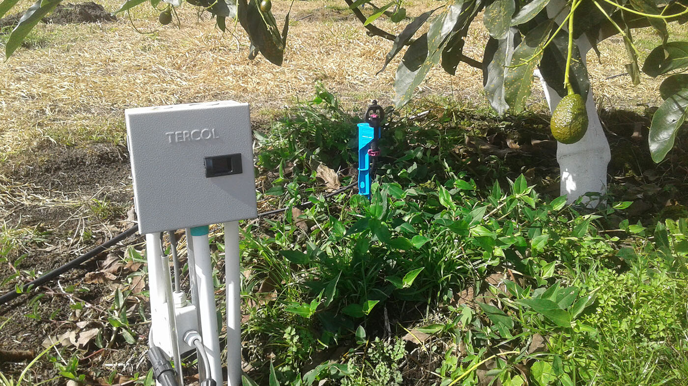 Sensores de potencial métrico instalados al lado de un sistema de riego por microaspersión (El Queremal, municipio de Dagua).