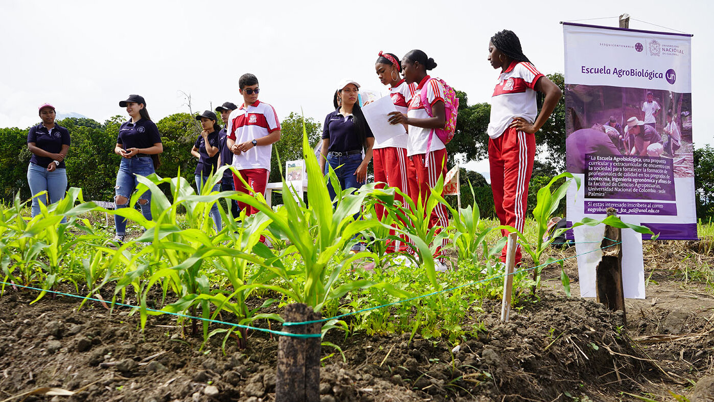 Resultado de los talleres, 195 estudiantes de bachillerato fueron certificados en “Educación continua en estudios agrobiológicos”, y 18 de ellos recibieron menciones de honor. Fotos: Helmuth Ceballos - Unimedios Palmira.