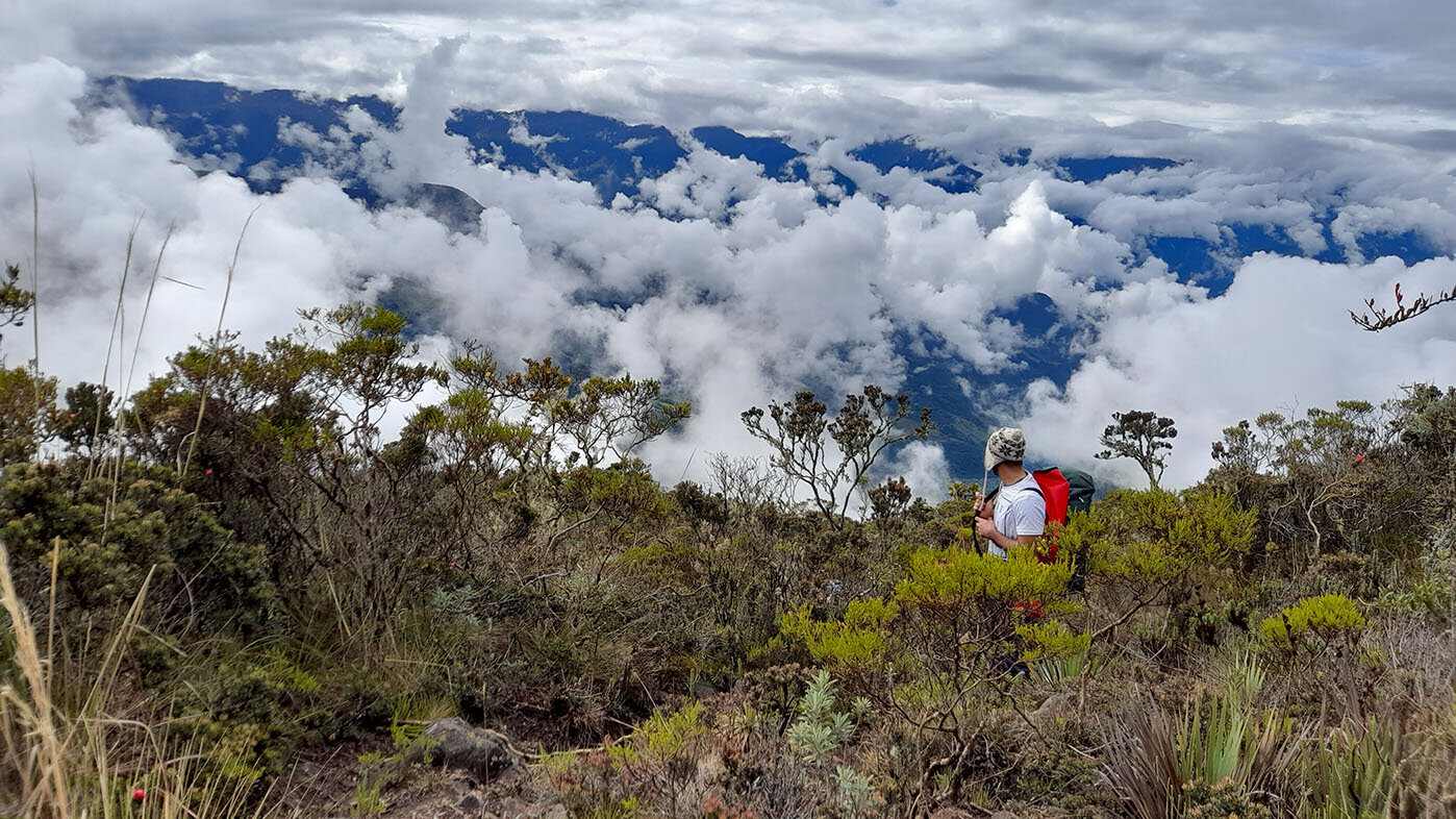 El estudio pionero clasificó 32 agrupaciones biológicas de bacterias y 7 de hongos en los suelos de los Andes colombianos. Fotos: Glever Alexander Vélez Martínez, estudiante de la Maestría en Ciencias Biológicas de la UNAL.