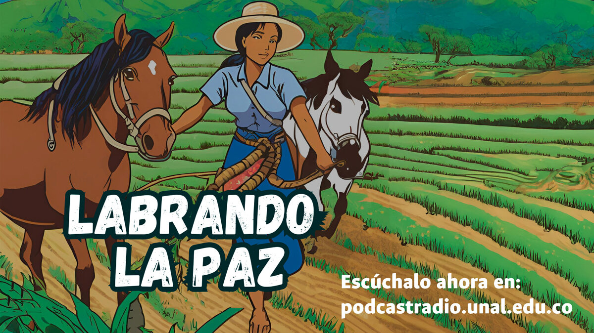 El pódcast “Labrando la Paz” promete seguir siendo un puente entre las voces de Arauca y el resto del país. Ilustración: Diana Hernández, productora general Podcast Radio UNAL / Foto: Federico Mosquera, Ecolmod UNAL.