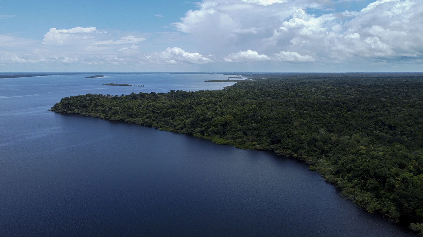 La Amazonia se enfrenta a grandes retos en cuanto al impacto que tiene la ganadería, la minería y el conflicto armado para sus habitantes. Foto: MICHAEL DANTAS / AFP.
