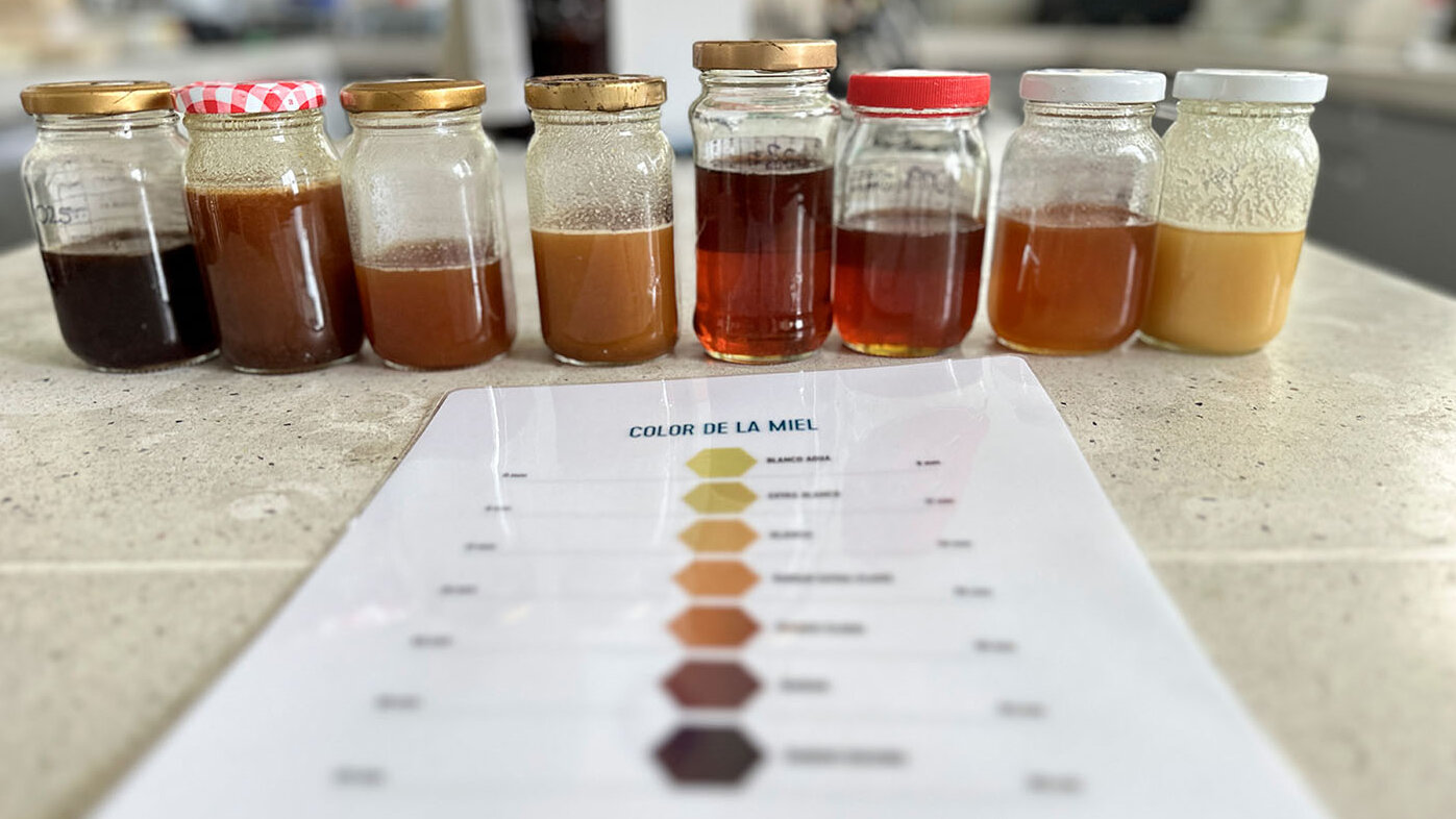 El Casanare cuenta una gran biodiversidad que les permite a las abejas producir excelentes mieles, por lo que es una cadena productiva prioritaria para el departamento. Fotos: Andrés Niño Aparicio, magíster en Ciencia y Tecnología de Alimentos UNAL.