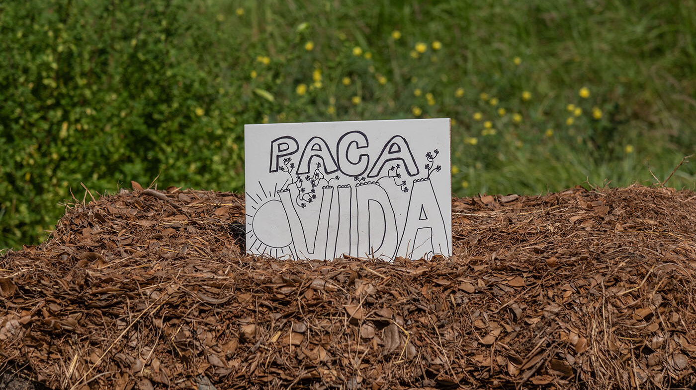 Las pacas son estrategias para el manejo de residuos orgánicos que se ven beneficiadas por los insectos que viven en ellas. Foto: Nicolas Gómez Luna, biólogo de la UNAL. Foto: Jeimi Villamizar, Unimedios.