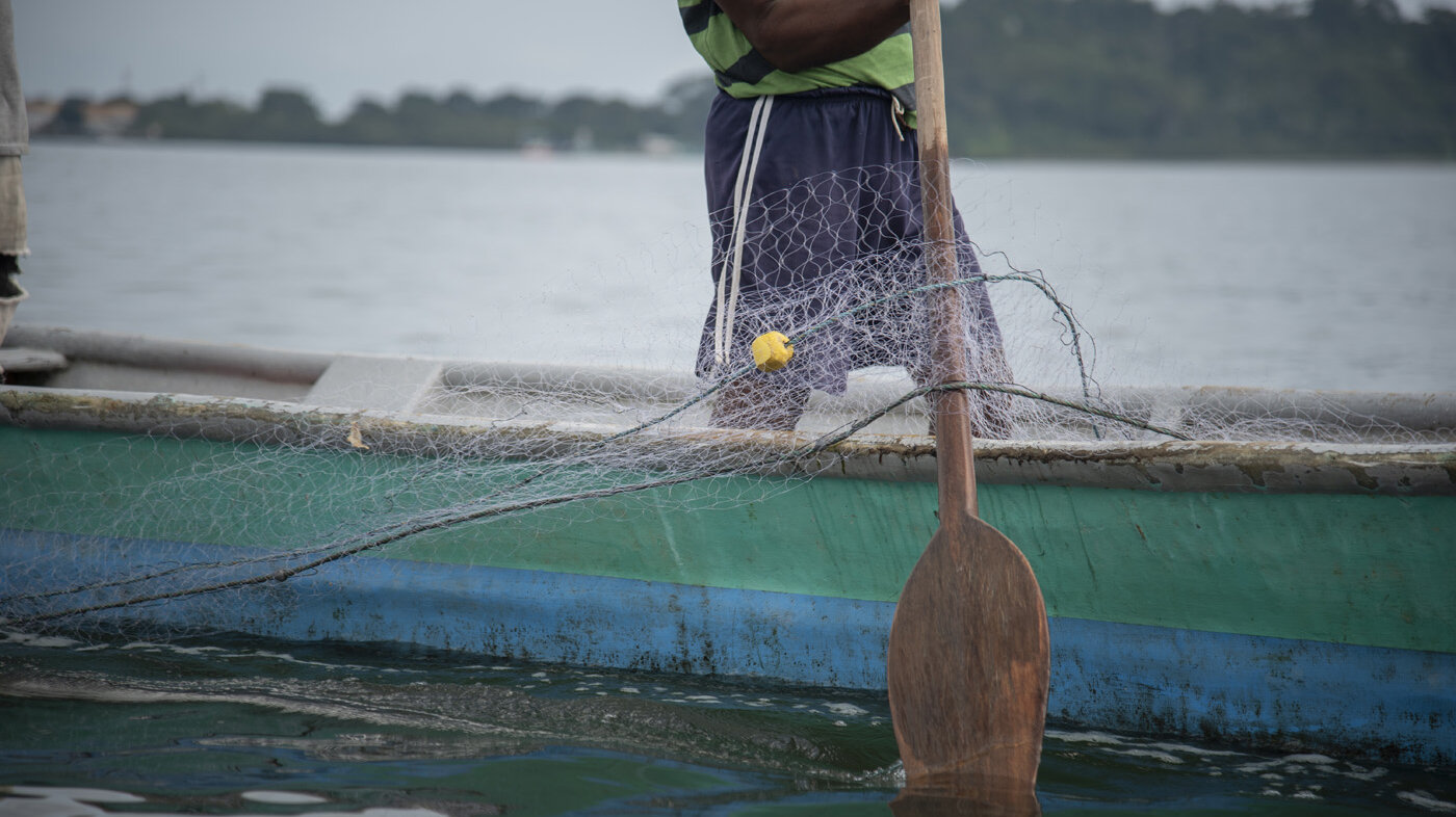 La reducción de capturas de peces se ve afectada por el cambio en la distribución de las especies debido a condiciones climáticas y oceanográficas. Foto: archivo Unimedios. 