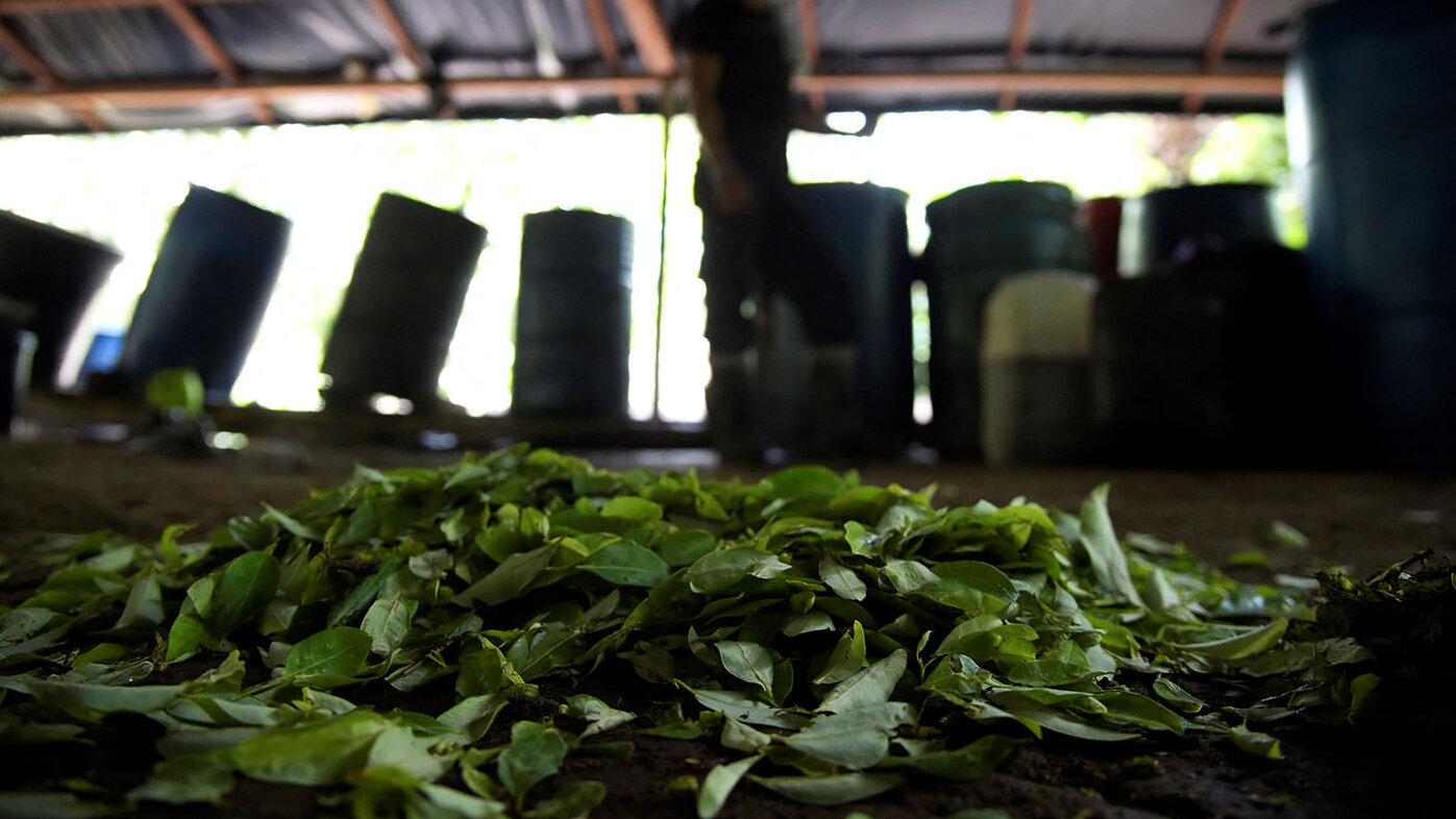 El crimen organizado está conformado por grupos dedicados a actividades ilícitas como el narcotráfico, la extorsión y el contrabando, entre otras. Foto: Schneyder Mendoza / AFP.