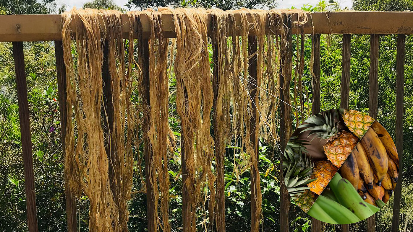 Con “cabello” hecho con piña y plátano se crearía ropa más biodegradable. Foto: Tatiana Franco Gómez, magíster en Medio Ambiente y Desarrollo de la UNAL.