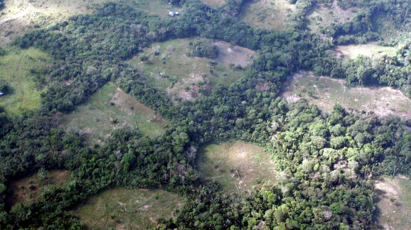 La deforestación y la explotación de recursos naturales son los principales problemas de la Región Amazónica. Foto: cortesía El Tiempo.