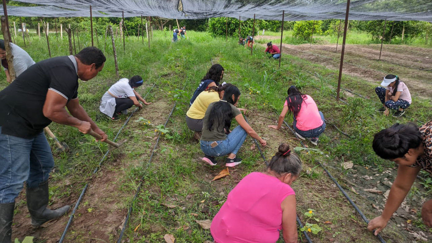 Con el proyecto se han beneficiado más de 2.000 personas en Tame y Saravena, del departamento de Arauca. Fotos: Extensión Universitaria UNAL Sede Orinoquia. 
