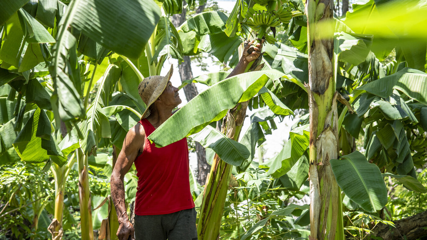 Los ecohuerteros del Valle del Cauca afirmaron que cultivar mejora la salud mental. Fotos: Escuela Agrobiológica UNAL Sede Palmira.